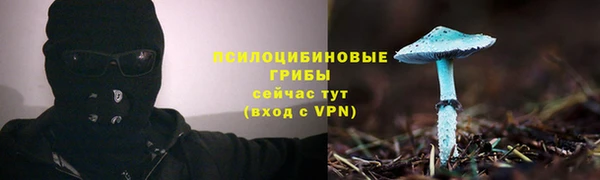 мяу мяу мука Волоколамск