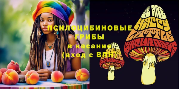 мяу мяу мука Волоколамск