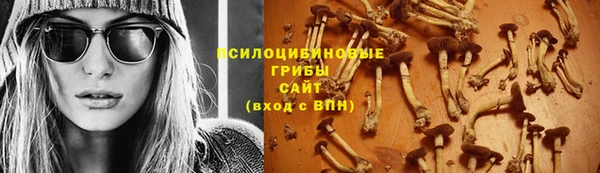 гашик Волосово