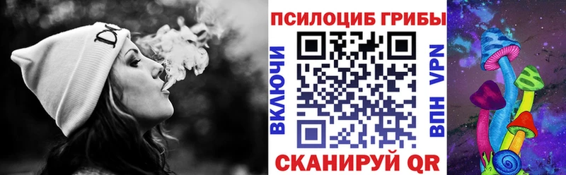 Купить закладки Нефтегорск Псилоцибиновые грибы Psilocybine cubensis